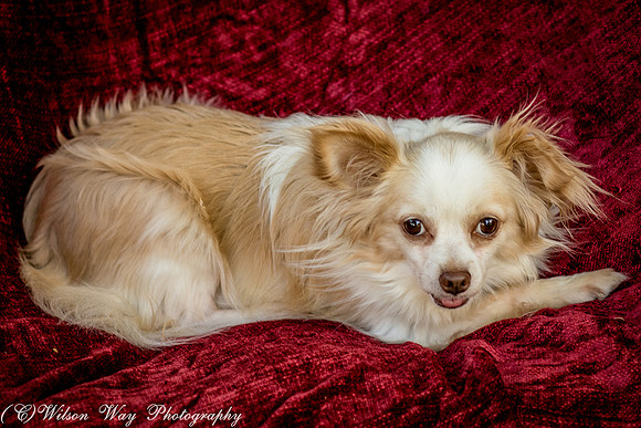 Foster Sam-4070