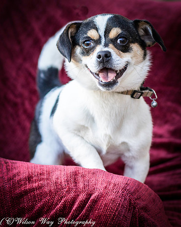 Foster Jethro-4