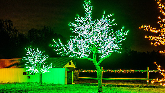 Christmas-2807