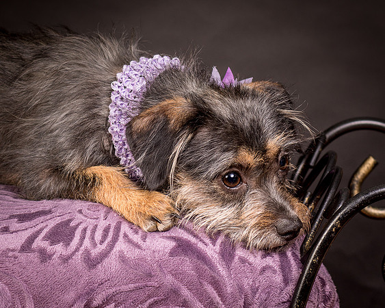 Foster Nadine-9650