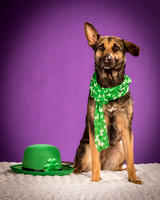 Izzy-2186