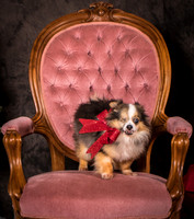 Foster Gabe-4391