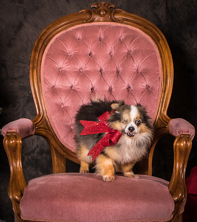 Foster Gabe-4391