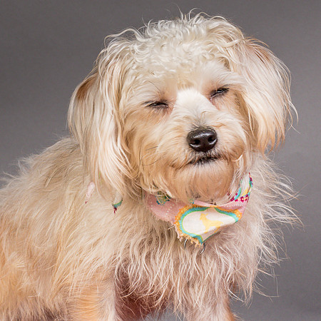 Foster Henrietta-8406