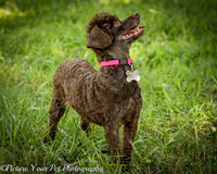Foster Edna-2901