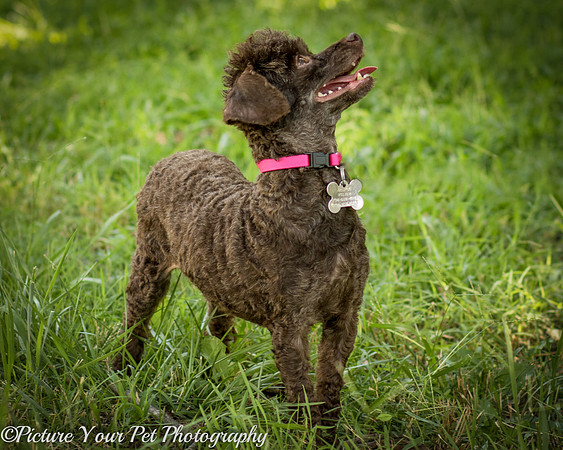 Foster Edna-2901