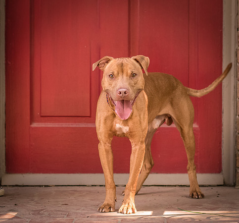 Foster Pablo-8059