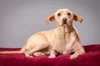 Foster June-3471