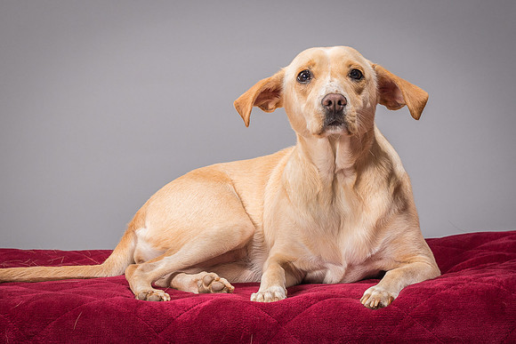 Foster June-3471