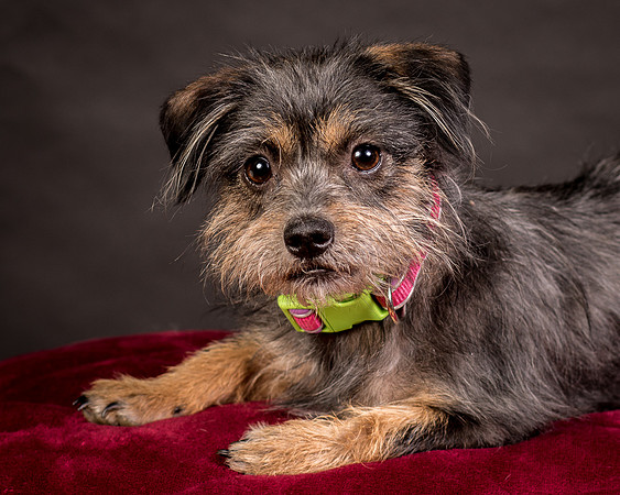 Foster Nadine-9594