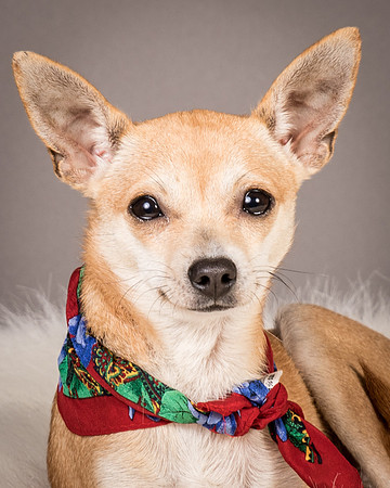 Foster Rosanna-3866