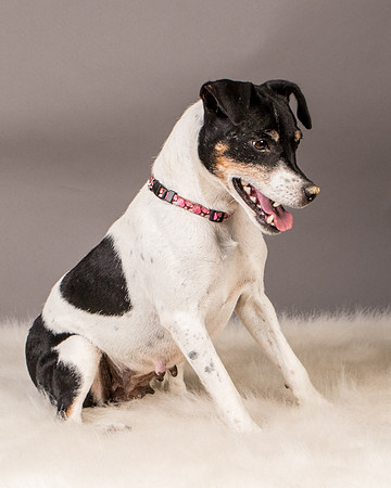 Foster Pollyanna-3904