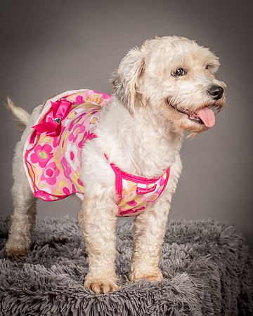 Foster Everly-2230