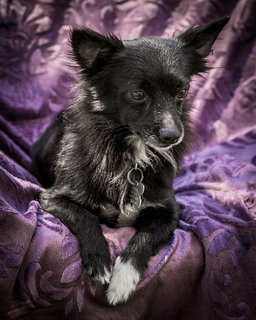 Foster Julio-6224
