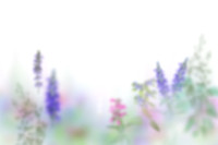 Frame_10