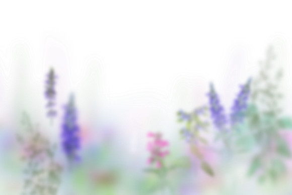 Frame_10