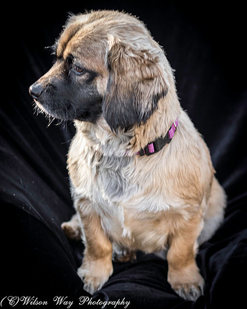 Foster Trudy-33