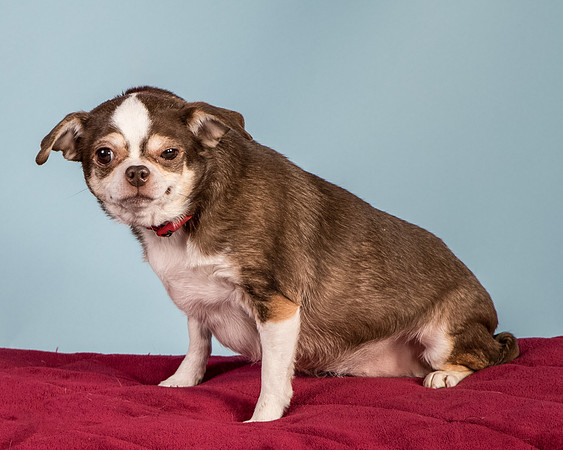 Foster Sophie-5204