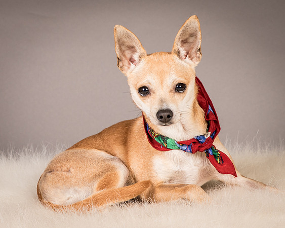 Foster Rosanna-3853