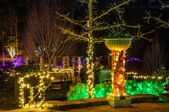 Christmas-2571