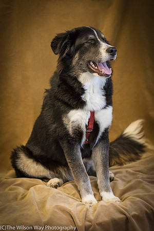 Foster Salty-0639