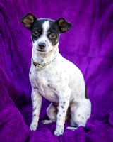 Foster Haylie-4094