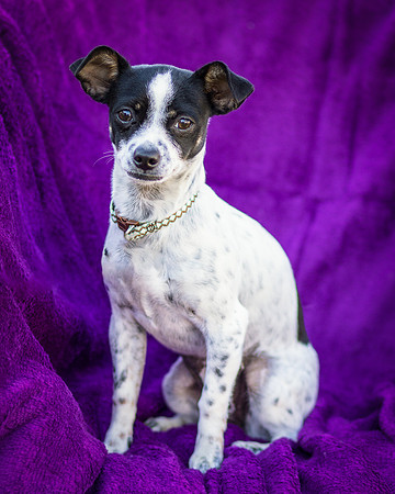 Foster Haylie-4094