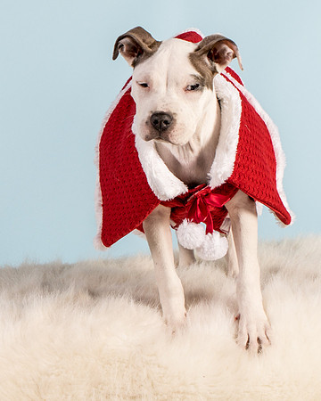 Foster Luna-4736