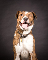 Foster Coolidge-2956