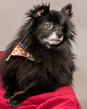 Foster Wayne-7944