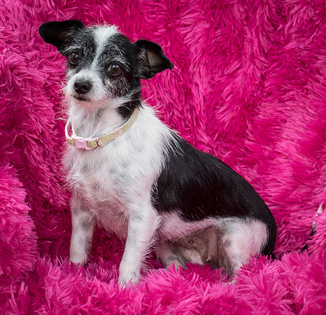 Foster Olive-7626