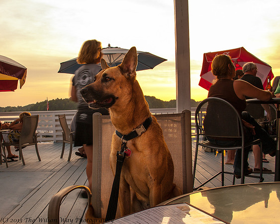 Roxy at Blue Parrot-3099