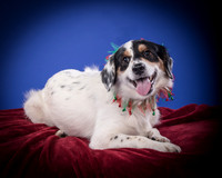 Tarby-Charlie-4405