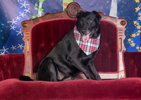 Foster Beatrice-3984