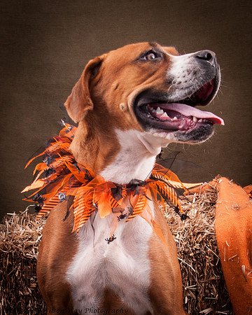 Foster Betsy-7520