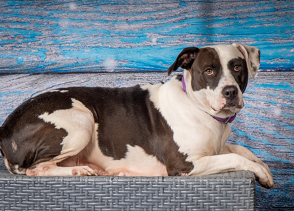 Foster Lucette-3226