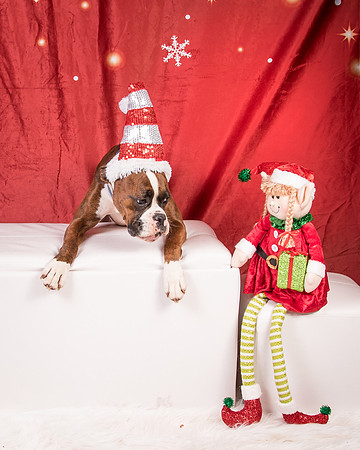 Buford-2621