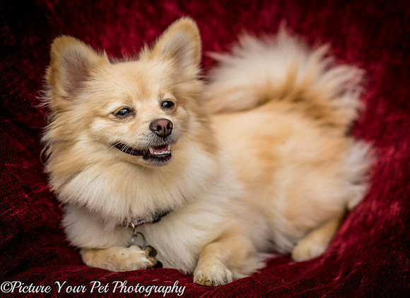 Foster Shirley-6108