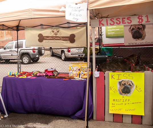 Carolina Mastiff Rescue-0648