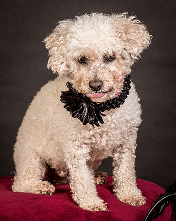 Foster Mae-9133