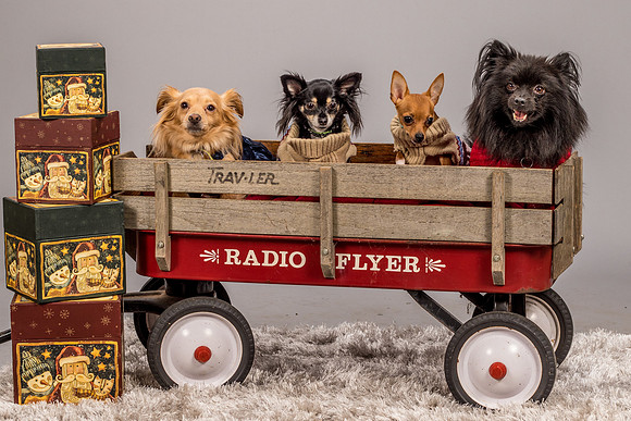 Bolling-6235