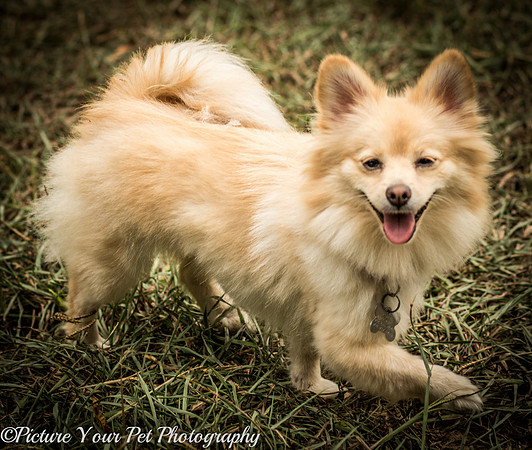 Foster Shirley-6388