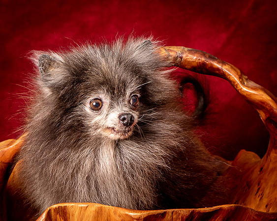 Foster Loretta-1335