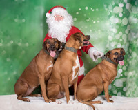 Santa Claus-3295