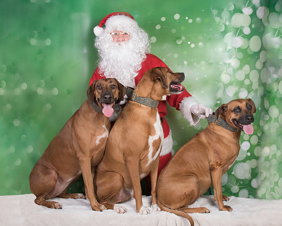 Santa Claus-3295