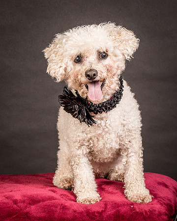 Foster Mae-9050
