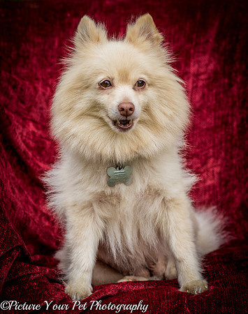 Foster Laverne-6255