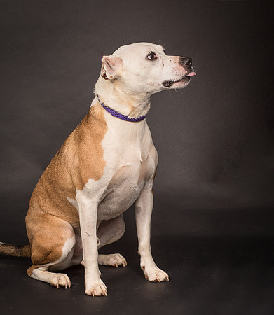Foster Bowie-1255