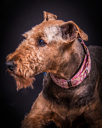 Sammie-4954