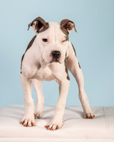 Foster Luna-4685